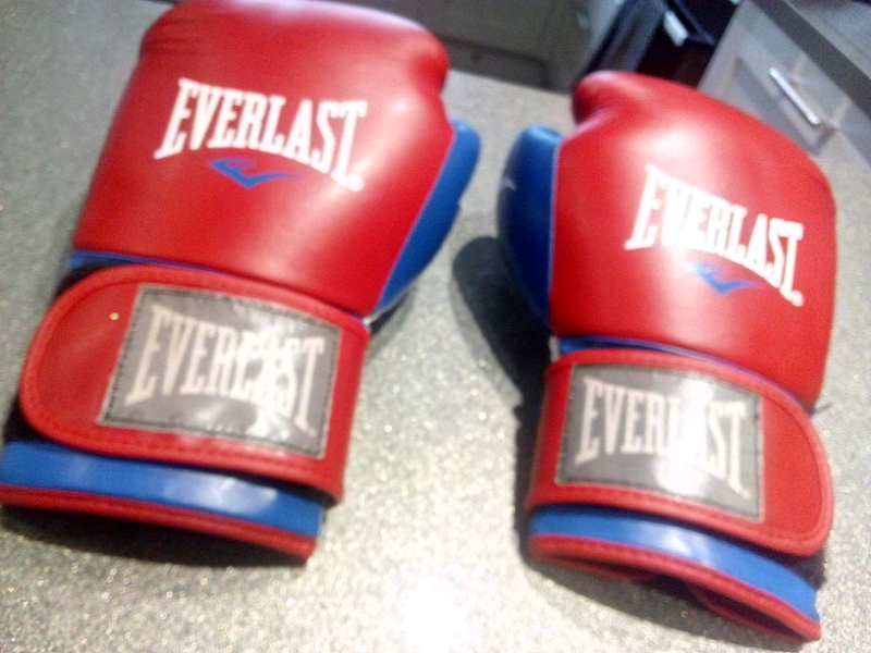 gumtree boxing gloves